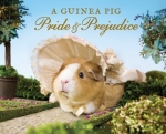 guinea pig pp